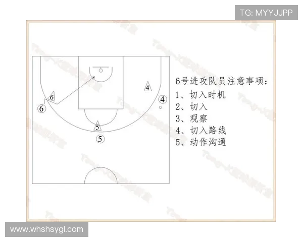 独家解析：成都篮球队不同节奏对比及其战术影响分析